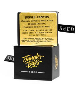 Jungle Boys Jungle Canyon - 10ct Seeds