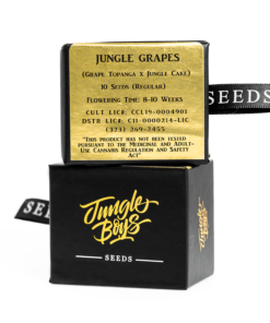 Jungle Boys Jungle Grapes