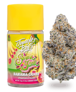 Jungle Boys Banana Guava