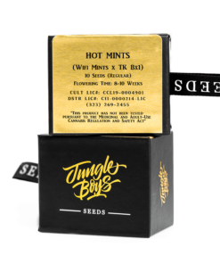 Jungle Boys Hot Mints - 10ct Seeds