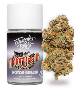 Jungle Boys Motor Breath