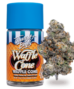 Jungle Boys Waffle Cone - 3.5g Jar