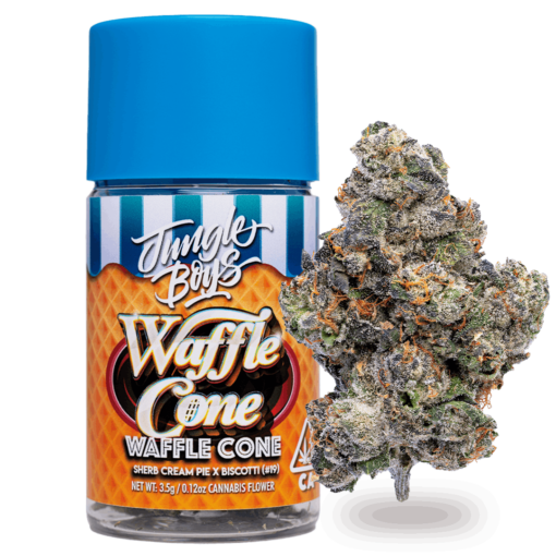 Jungle Boys Waffle Cone - 3.5g Jar